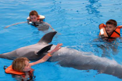 dolphinarium