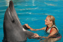 Dolphinarium