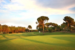 Montgomerie Maxx Royal