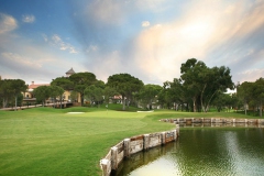 Montgomerie Maxx Royal