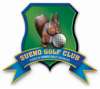 Sueno Golf logo